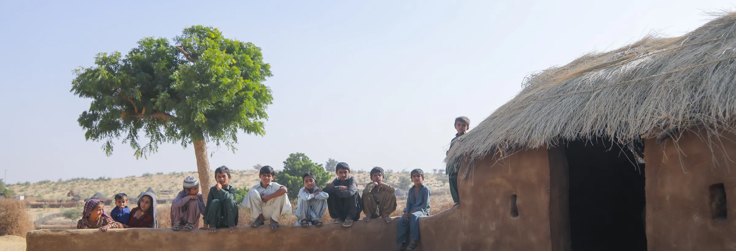 Goats grazing at sunrise beside thatched houses in Thar
