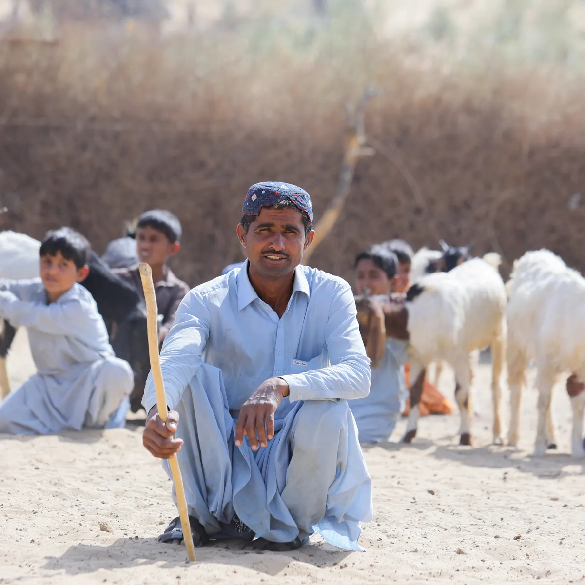 A farmer crouching with his herding stick, goats and children behind him