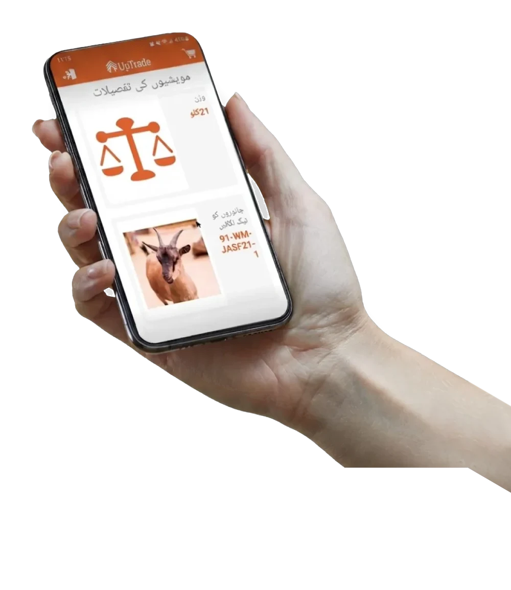 The UpTrade app showing a livestock listing in Urdu