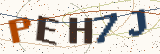 Security code: type the characters shown
