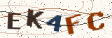 Security code: type the characters shown
