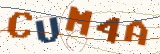 Security code: type the characters shown