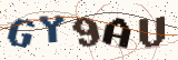Security code: type the characters shown