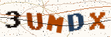Security code: type the characters shown