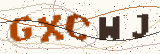 Security code: type the characters shown