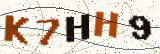 Security code: type the characters shown