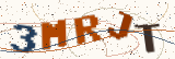 Security code: type the characters shown