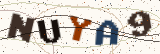 Security code: type the characters shown