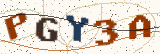Security code: type the characters shown