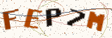 Security code: type the characters shown
