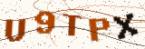 Security code: type the characters shown