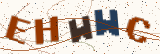 Security code: type the characters shown