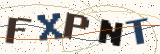Security code: type the characters shown