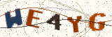 Security code: type the characters shown